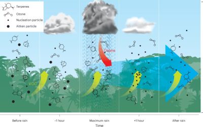Rainfall + Ozone Pollution Induce Nanoparticle Bursts in Amazon Rainforest